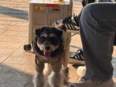 -洋湖国家湿地公园