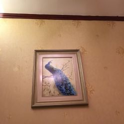 -源素美容养生会所