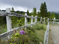 -神户市立六甲山牧场