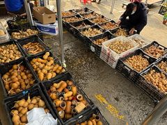 -中环花鸟鱼虫市场