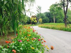 -梁鸿国家湿地公园