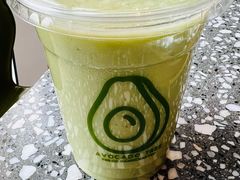 -油梨树AVOCADO TREE(望京店)