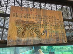 -昆明动物园