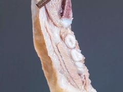 -中发源·清真餐厅(春风店)