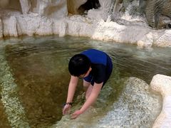 -中铁花水湾温泉酒店(大邑店)