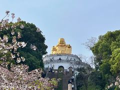 -苏州上方山国家森林公园
