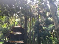 -青城山