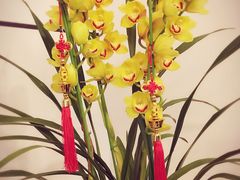 -煲煲掂风味煲仔饭餐厅(西区店)