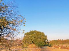 -下渚湖国家湿地公园科普馆