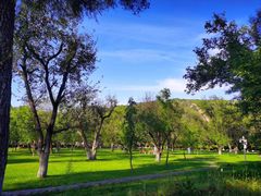 -延安杨家岭革命旧址