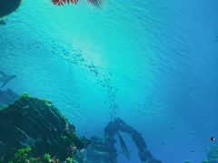 -海合安青岛极地海洋公园