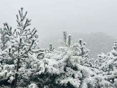 -鳌山滑雪度假区