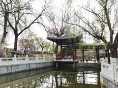 -桃花堤公园