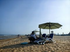-日照海滨国家森林公园