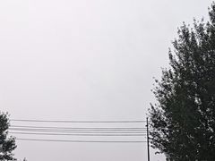 -龙塔
