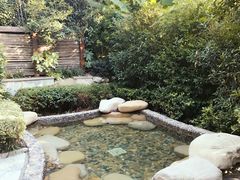 -天目湖涵田半山温泉
