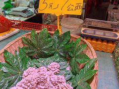 -五里多农博广场