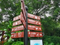 -雀儿山公园