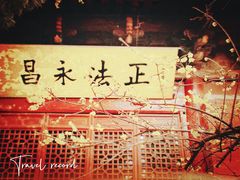 -洛阳白马寺