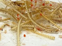 -虹御轩·传承江浙菜(虹桥店)