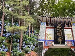 -苍山感通索道