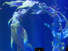 -华夏文旅海洋公园