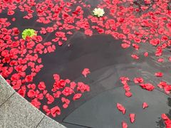 -清远熹乐谷温泉度假酒店
