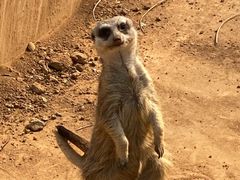 -石家庄市动物园