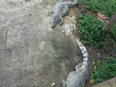 -广州长隆飞鸟乐园