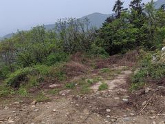 -木兰云雾山