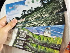 -苍山感通索道