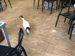 -可伦宾野生动物保护区