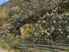 -东南悬空寺方广岩