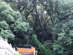 -普陀山风景名胜区-法雨禅寺