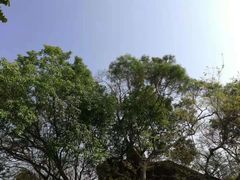 -鸿山公园