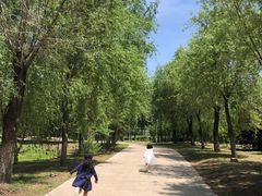 -蒲河岛湿地公园
