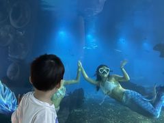 -涛·海底餐厅·美人鱼·自助餐·海底隧道(三亚海棠湾洲际度假酒店)