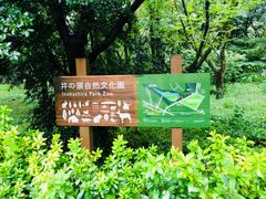 -三鹰之森吉卜力美术馆