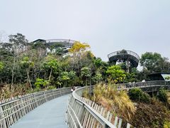 -福道