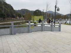 -千年银杏谷文化旅游区