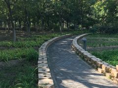 -大兴滨河森林公园