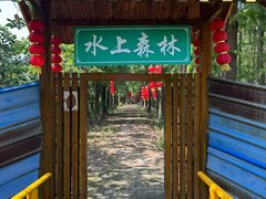 -渌洋湖湿地公园
