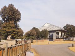 -中国唐苑