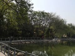 -莲湖公园