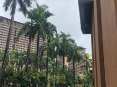 -三亚湾红树林度假世界(木棉酒店)