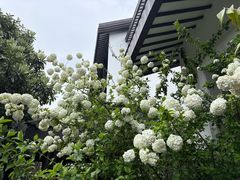 -绍兴饭店知遇楼(环山路店)