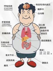 -Fundi张玉珊修身堂·indiba·BTL科技瘦身