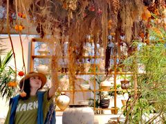 -自由生长植物工作室(深港花卉中心店)