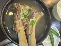 -莲洞本家