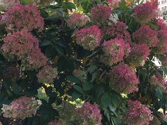 -中国建设银行哈尔滨培训中心